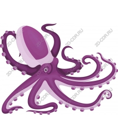  Bright purple octopus