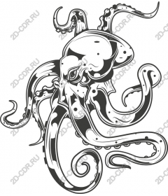  Ocean octopus