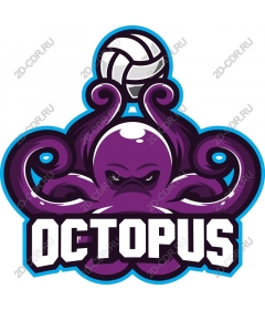  Cruel volleyball octopus