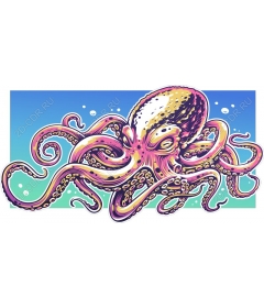  Bright octopus