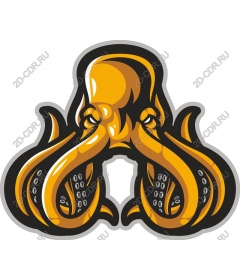  Bright octopus