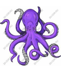  Bright purple octopus