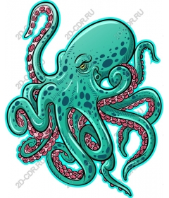  Bright octopus