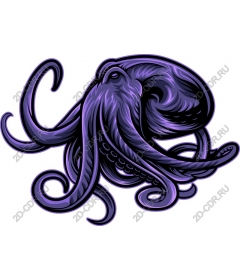 Majestic purple octopus