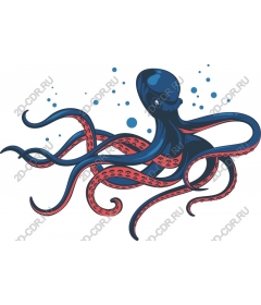  Bright octopus