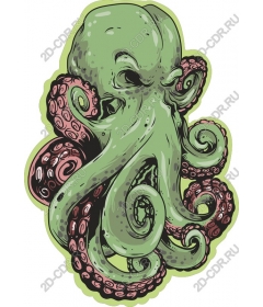  Octopus