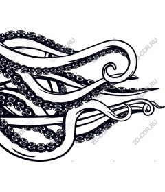  Элегантная работа Octopus