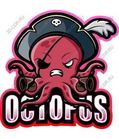 Pirate octopus