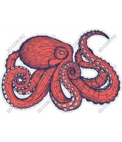 Red octopus