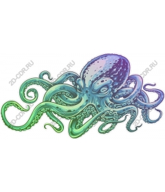  Bright octopus