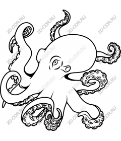  Whimsical octopus