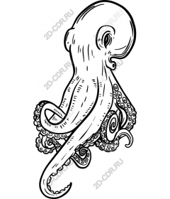 Intricate octopus