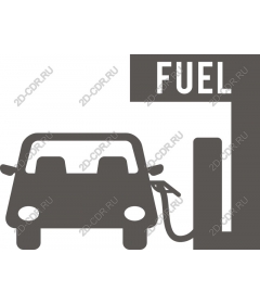 The car at the gas station