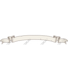  Elegant vintage banner-ribbon