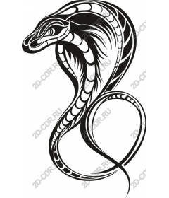  Black Cobra