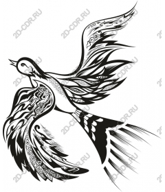  Elegance tribe: intricate bird