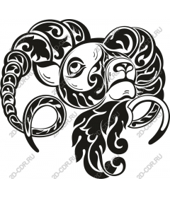  Black and white sheep