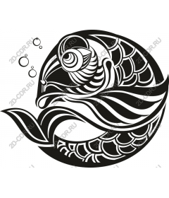  Elegant fish