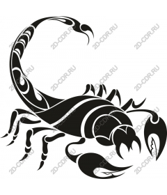 Intricate Scorpio