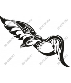  Elegant bird in flight