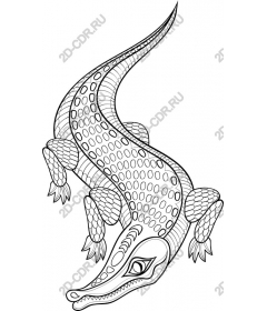 The intricate crocodile