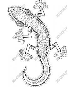  Fancy lizard