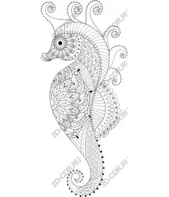  Elegant seahorse