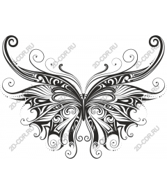  Elegant butterfly