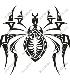  Black spider