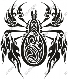 Intricate spider