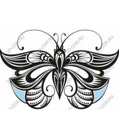  Elegant butterfly