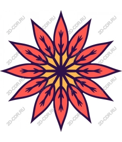  Bright floral star blast