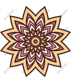  Bright floral mandala