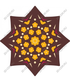  Elegant star flower