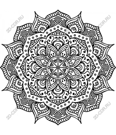 The intricate art of the mandala