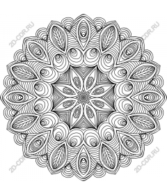 Mandala Elegance