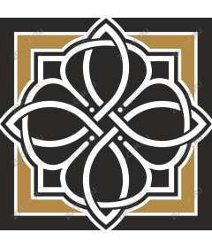  Elegant geometric