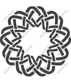  An intricate knot