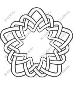Host Star