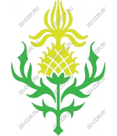 Tropical Pineapple