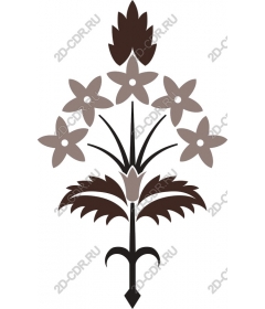  Elegant floral