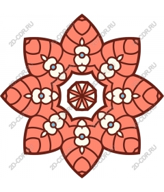  Coral floral star