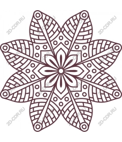 Intricate floral mandala