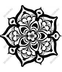  Elegant floral mandala