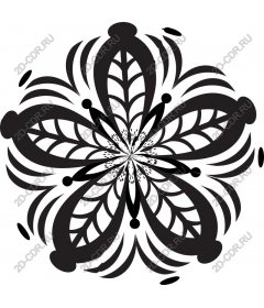  Black and white floral pattern