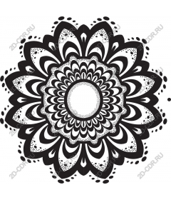  Elegant floral mandala