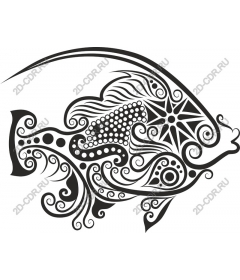 Fancy fish
