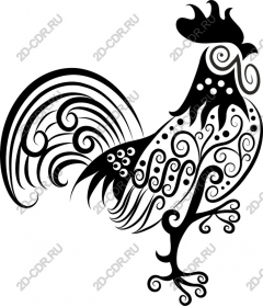  Elegant Cock