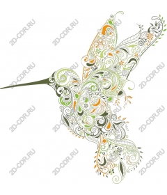  Elegant Hummingbird