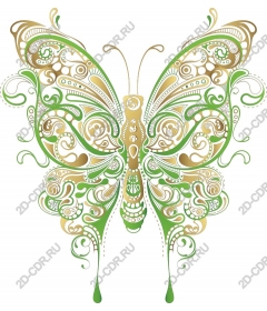 Exquisite green butterfly
